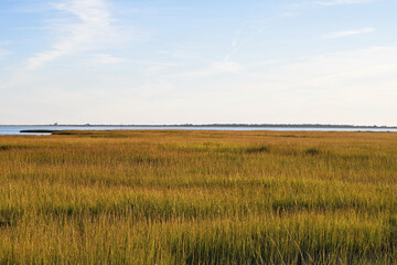 Wetlands and costal marsh in Virginia USA viewed in the golden late afternoon sun on an autumn day....