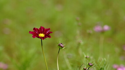 The days are getting shorter