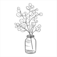 Hand drawn silver dollar eucalyptus branch in a glass jar black and white outline vector illustration