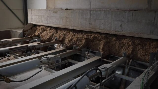 Sawdust of Wood Processing Waste. Granulated Wooden Fuel. Economical, Ecological Fuel. making wood pellets
