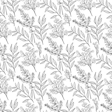 Hand drawn eucalyptus branches seamless pattern black and white outline vector illustration