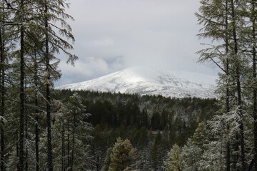 snow covered mountains