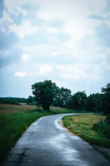 Fototapeta na wymiar rainy path on the countryside through green fields
