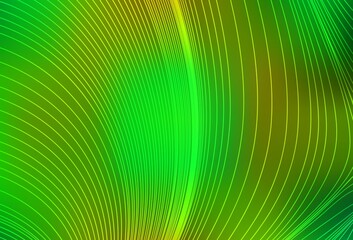 Light Green, Yellow vector layout with flat lines.