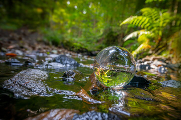 Glass lens ball with forest reflection - ecological concept
