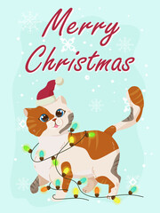 Greeting card with a cute kitten for Christmas and New Year. Congratulations on the holidays. Winter vector illustration isolated on white background.