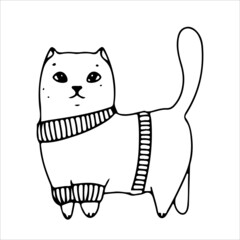 Kitten in a sweater in doodle or boho style. Simple sketched line art. Winter vector illustration isolated on white background.