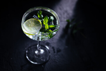 Gin tonic in cocktail glass with ice, mint leaves and lime on a dark rustic board