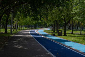 Fototapeta premium Beautiful scenery horizontal shot of cycle path painted in blue in Kepong public park, Kuala Lumpur, Malaysia.