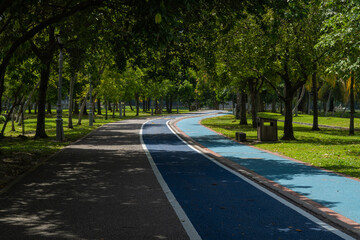Beautiful scenery horizontal shot of cycle path painted in blue in Kepong public park, Kuala Lumpur, Malaysia.