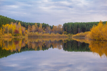 Fototapeta premium Colorful foliage tree reflections in calm pond water on a beautiful autumn day. A quiet and beautiful place to relax.