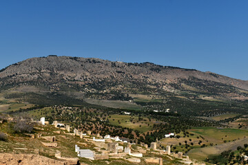 Fes Cemetery