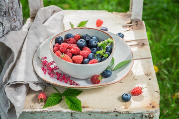Sweet berries in sunny garden. Fruits from greenhouse.