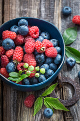 Sweet berries in sunny garden. Fruit grown in garden.