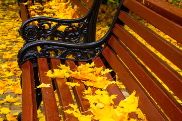 autumn bench