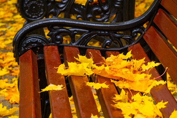 autumn bench