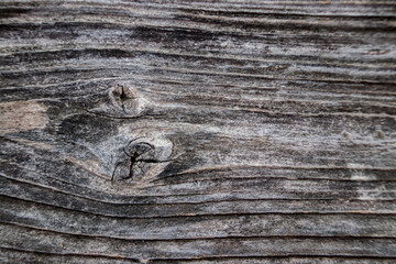 Old wood pattern