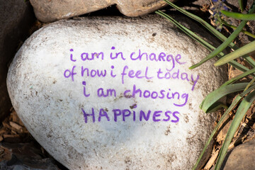 inspirational quote on stone i am choosing happiness