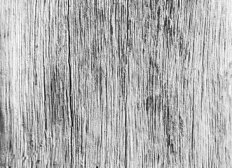 Old wood texture background crack, gray-white tone. Use this for wallpaper or background image. There is a blank space for text..