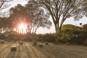 Sunset in the park of the Cathedral Basilica of Our Lady of Appeared. National Sanctuary. Aparecida, Brazil