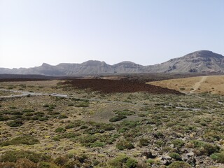 Lava Landschaft