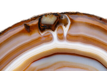 Macro mineral stone Yellow, brown Agate breed a white background close up
