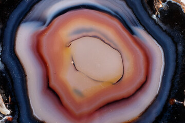 Obraz premium Macro mineral stone Yellow, brown Agate breed a white background close up