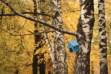 Golden autumn in the city park