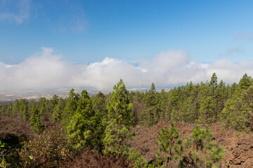 Fototapeta premium Der Vulkan Teide auf Teneriffa