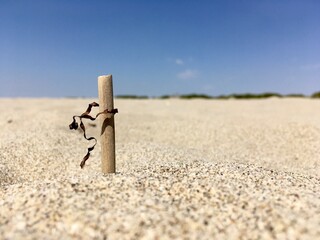 Alone in the sand