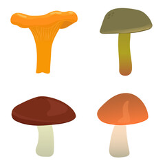 Cartoon set of edible mushrooms. Chanterelle, Boletus luteus, Boletaceae, Leccinum red-capped scaber stalk. Flat vector illustration