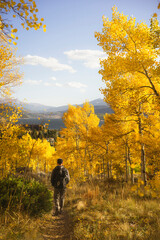 autumn, colorado, aspens, golden, yellow, sunset, alpine, mountains, rocky mountains, fall, golden hour, sunrise, 