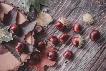 Autumn composition. Fallen leaves, chestnuts on wooden table. Flat lay, top view, from above