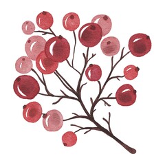 Hand drawing watercolor red berries. Use for greeting postcard, card, template, design, botanical poster, children’s book, pattern, forest illustration