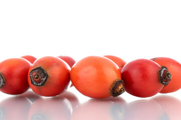 Several bright red ripe wild rose berries, close-up, isolated on white.