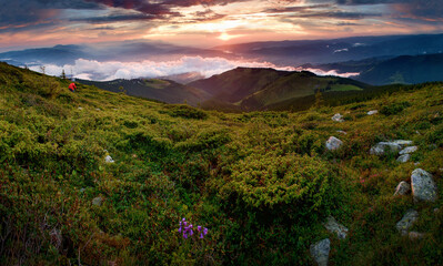 Fototapeta na wymiar Parâng Mountains - Romania