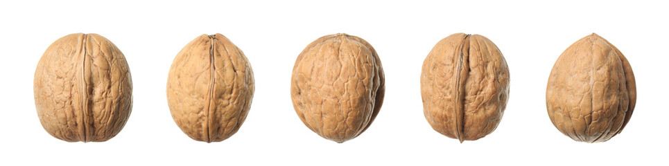 Set with tasty walnuts on white background. Banner design
