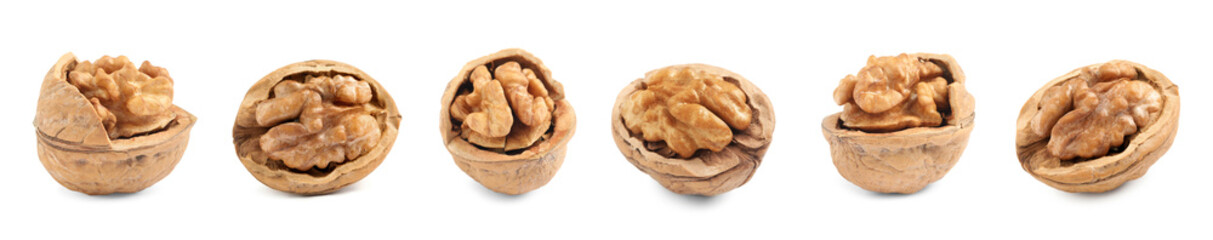 Set with tasty walnuts on white background. Banner design