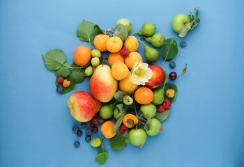 group of ripe appetizing fruits of different colors on a blue background.