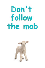 Do not follow the mob Sheep
