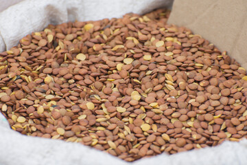 Lentil grains in a bag close-up. Sale of cereals in the agricultural food market.