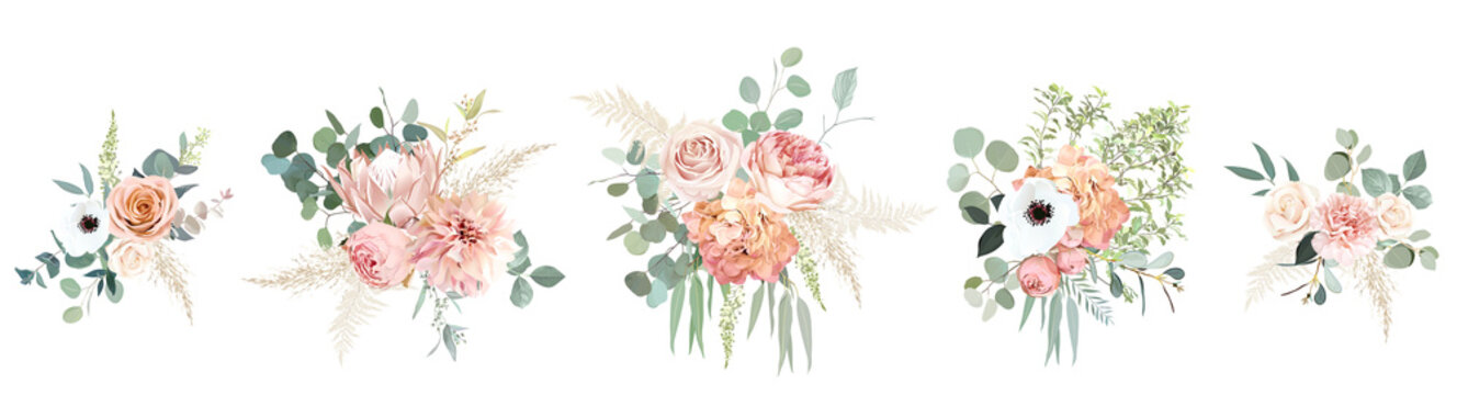 Peachy pink roses, ranunculus, white anemone, dried protea, dahlia vector design bouquets.