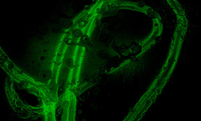 Abstract and textured background in dark colors. Streams of green light on a black background in the background and water drops with oil in the foreground.