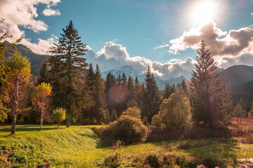 Colorful autumn foliage in the mountains of Tarvisio