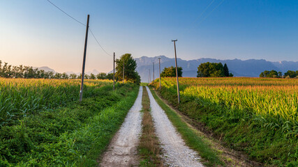 Fototapeta na wymiar Colorful sunset in the fields of Friuli Venezia-Giulia