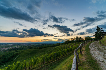 Naklejka premium Colorful sunset in the vineyards of Savorgnano del Torre