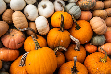 Pumpkins and gourds stand on display at a farm stand in September.