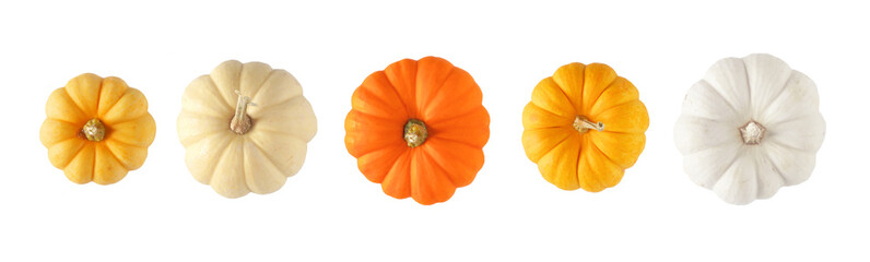 Variety of autumn pumpkins, top view isolated on a white background. Assorted shades of orange and...