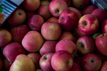 Gala apples lay in a bin at a farm stand in upstate New York.