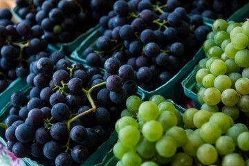 Pints of Concord and Niagara grapes stand on a table for sale at a farm stand in Upstate New York. 